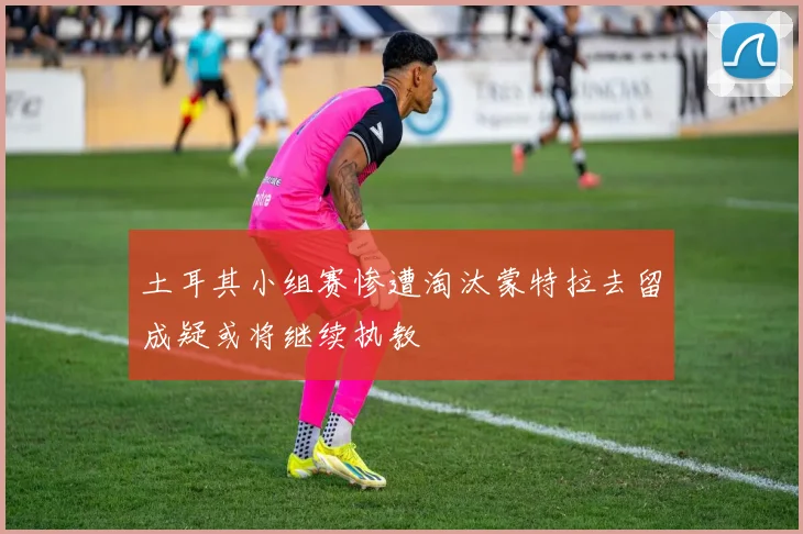 土耳其小组赛惨遭淘汰蒙特拉去留成疑或将继续执教