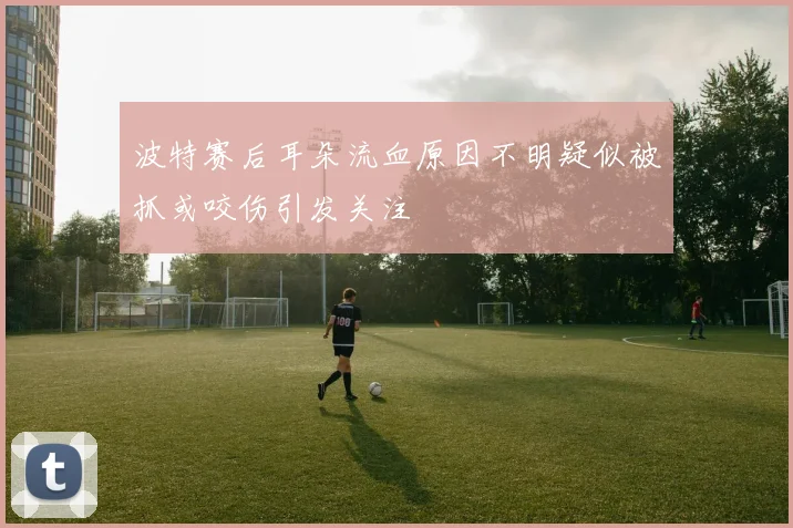 波特赛后耳朵流血原因不明疑似被抓或咬伤引发关注