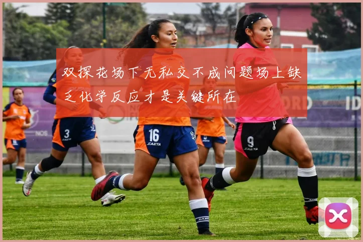 双探花场下无私交不成问题场上缺乏化学反应才是关键所在